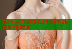 糖心Vlog平台多格式上传云端存储私密保护便捷同步